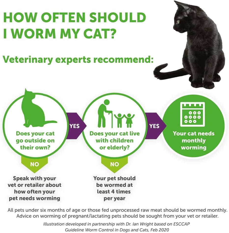 Drontal Wormer tablets for Small and Medium Cats (Under 4kg)