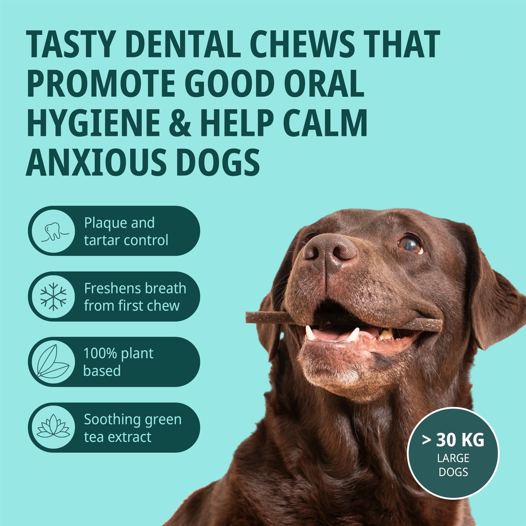 Virbac Veggiedent Zen 15 Dental Oral Care Dog Chews + Calming Anxiety Relief XS S M L