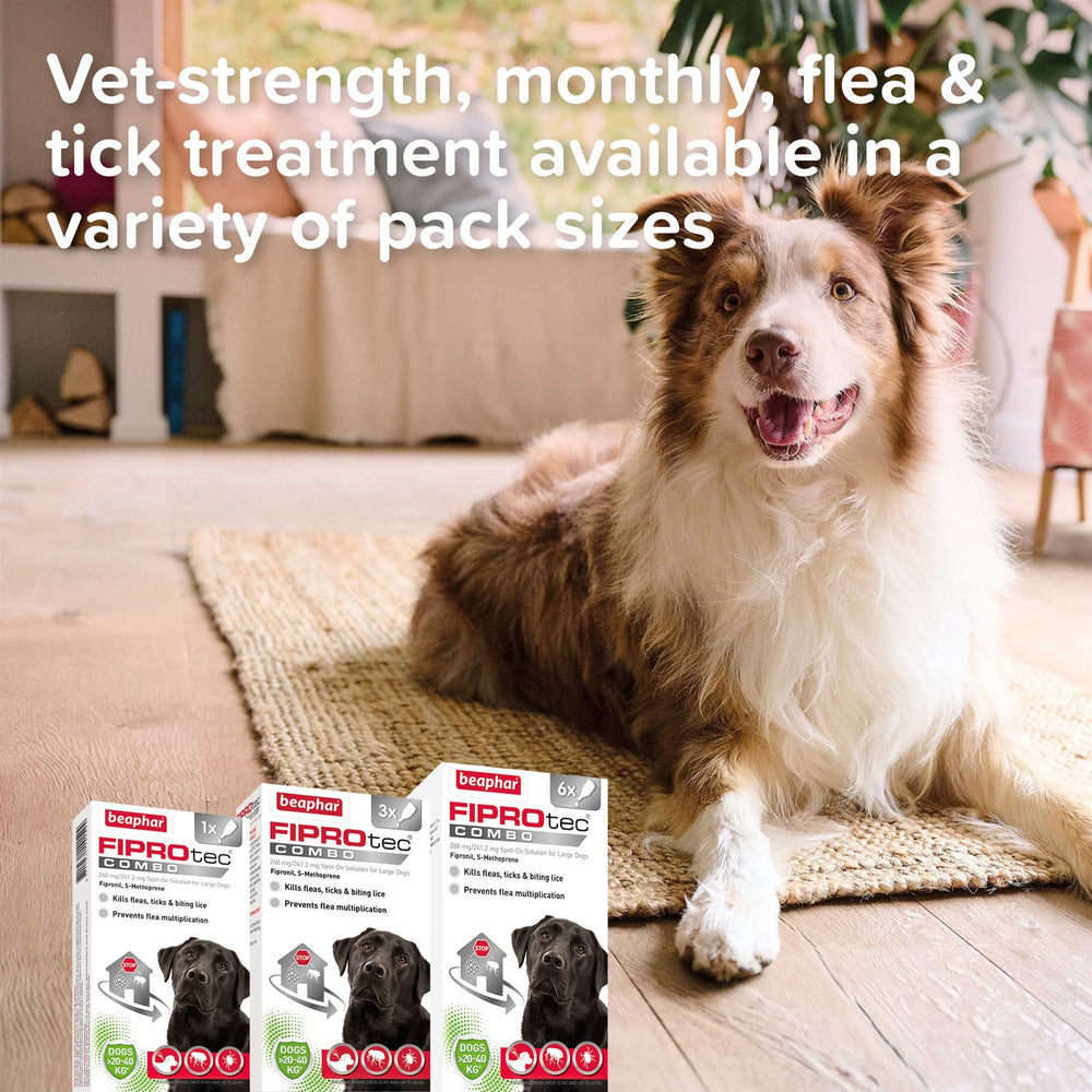 Beaphar FIPROtec COMBO Flea & Tick Spot-On for Large Dogs