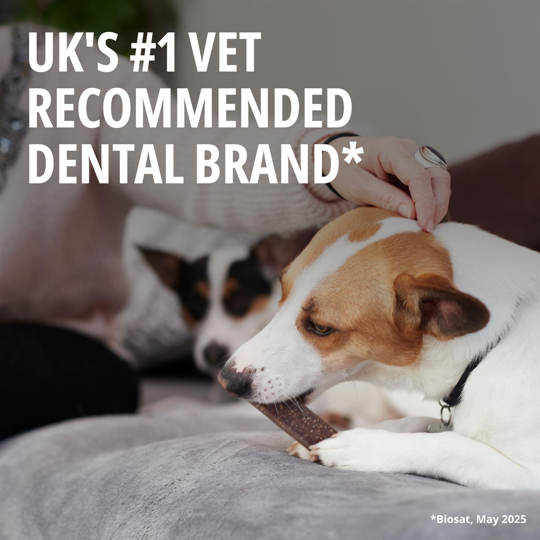 Virbac Veggiedent FR3SH Dental Chews for Dog Helps Clean Teeth & Freshen Breath, 15