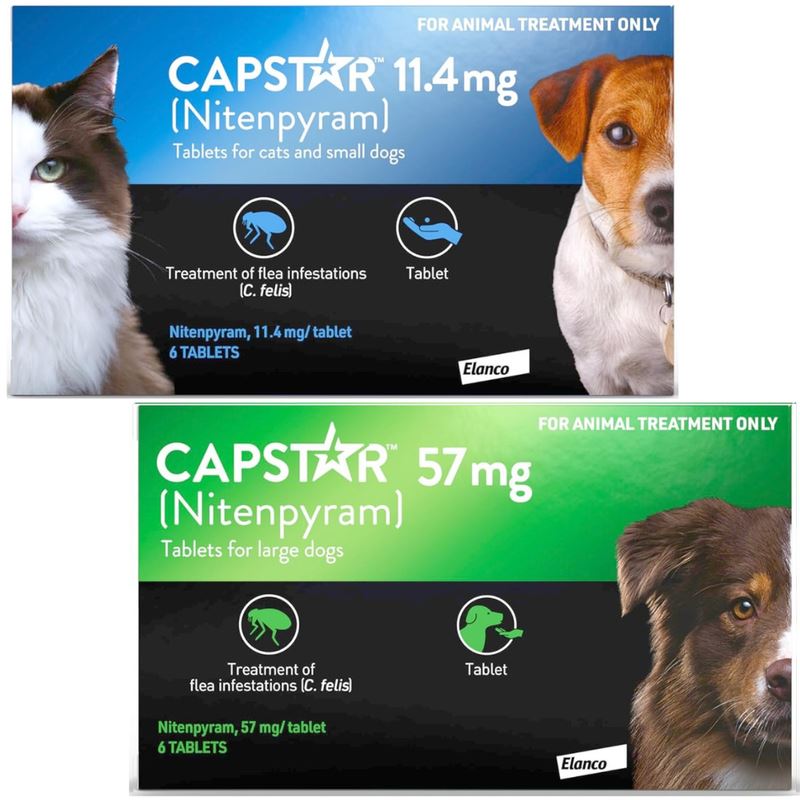 Capstar Flea Tablets over 11kg Kills Fleas | PetMedsExpress – Pet Meds ...
