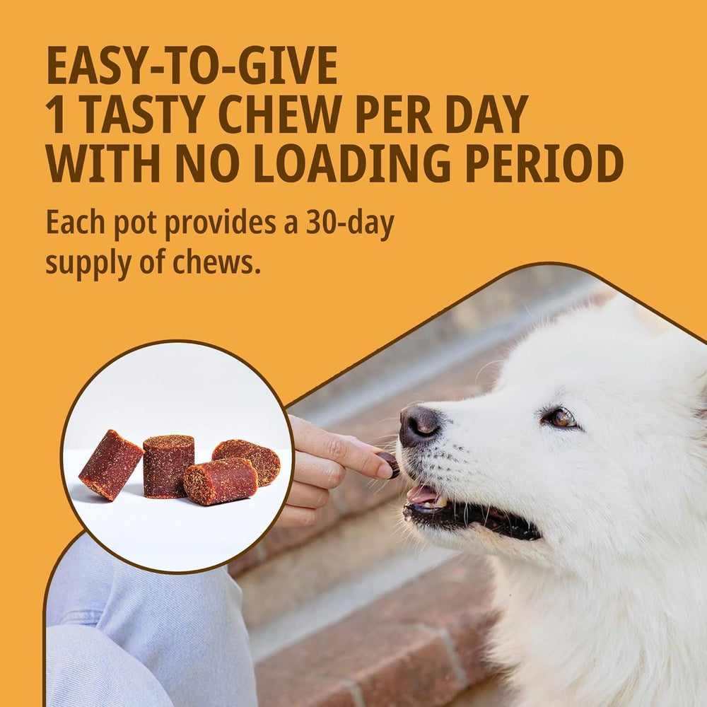 Movoflex Cat & Dog Joint & Mobility Support Supplement Highly Palatable Soft Chews x30