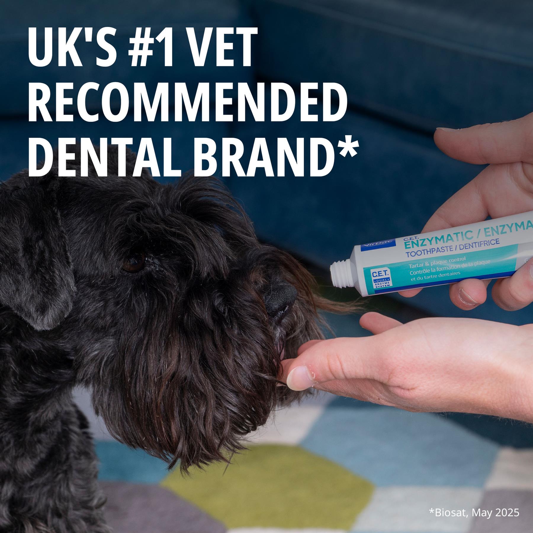 Virbac Dog Cat Toothpaste Kit Dental Toothbrush Finger Brush Poultry Flavour 70g Fish