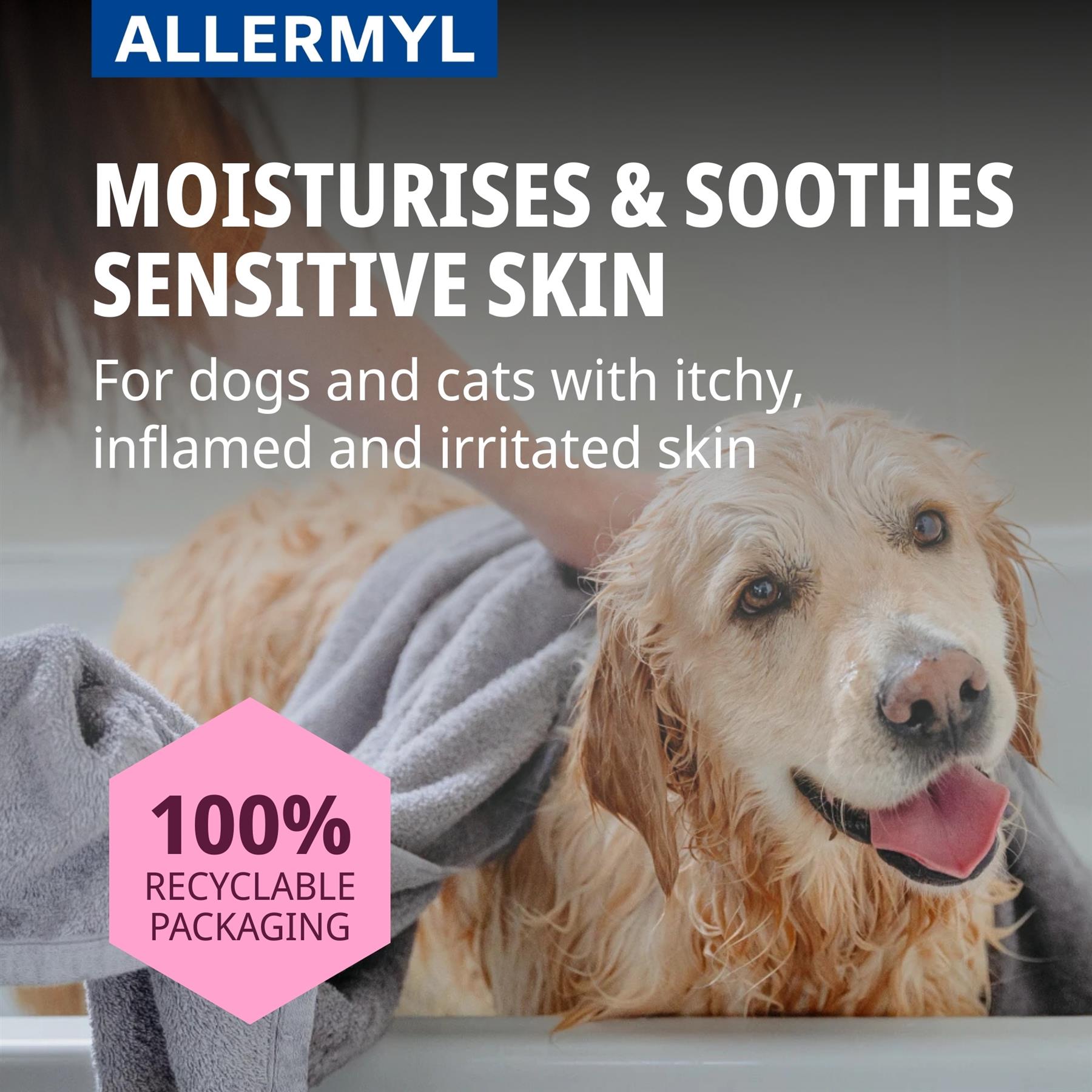 Allermyl Shampoo for Cat & Dog Sensitive or Itchy Skin