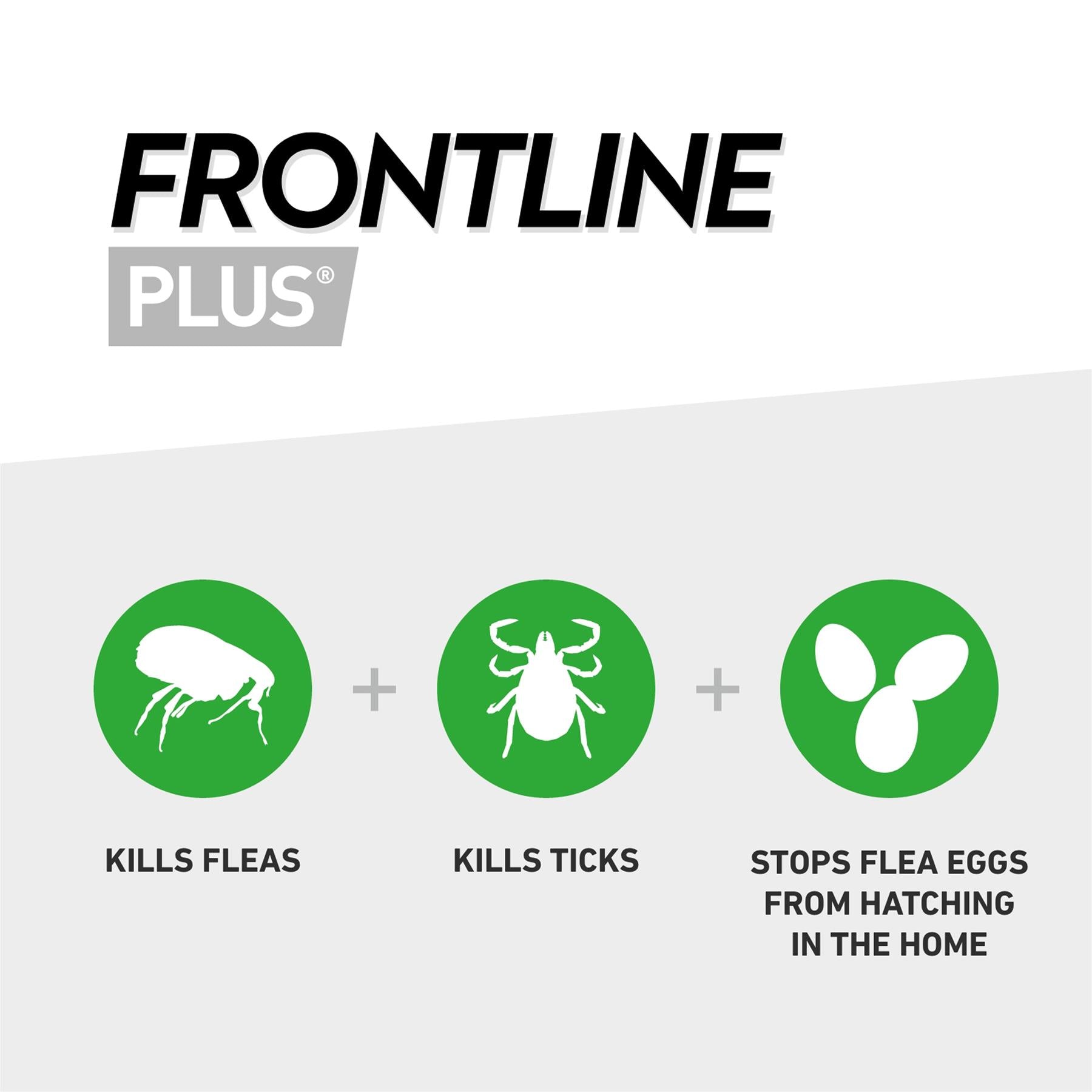 FRONTLINE Plus Flea & Tick Treatment for Cats & Small, Medium, Large and X Large Dogs