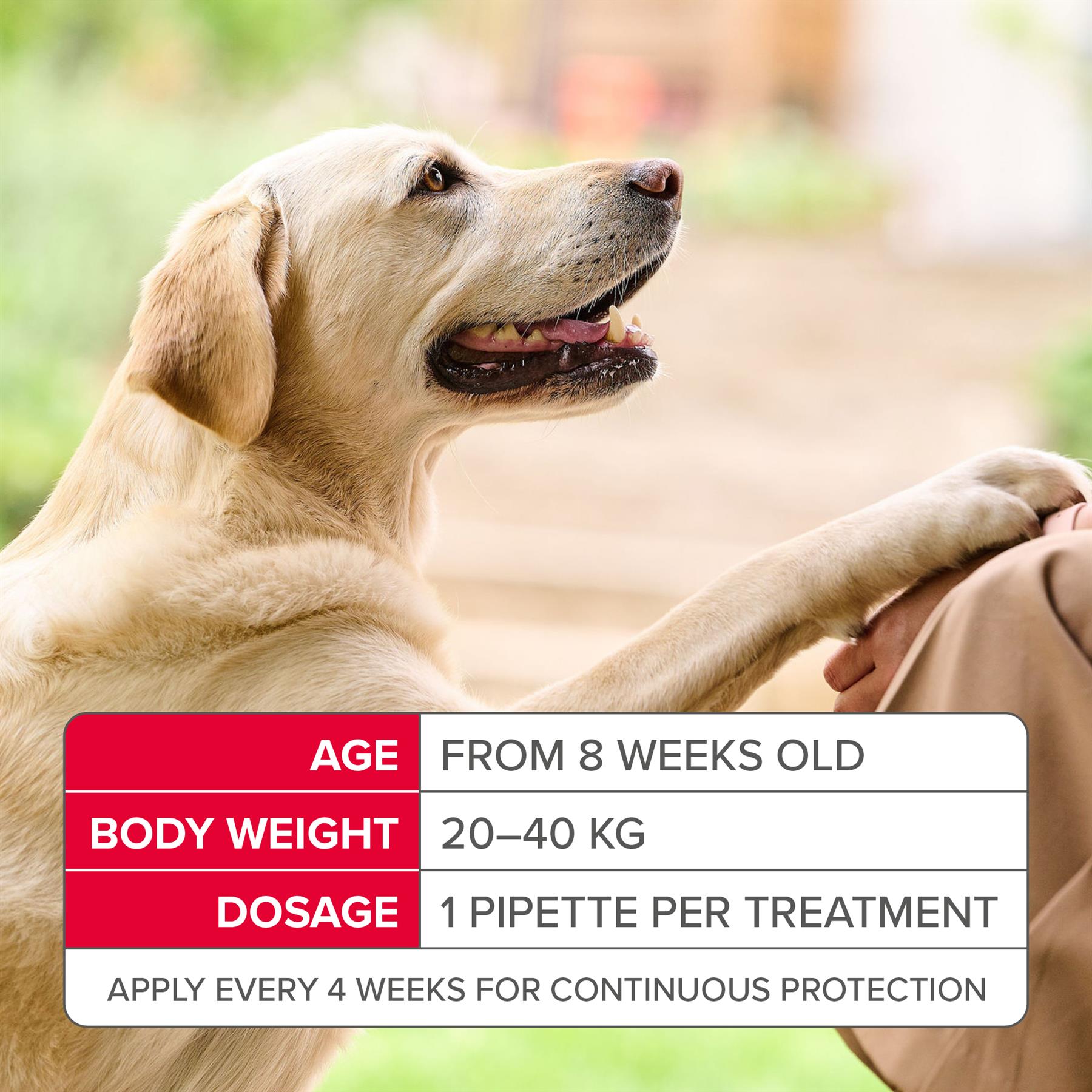 Beaphar FIPROtec Flea & Tick Spot-On Treatment for Large Dogs (20-40kg), 1, 4, 6 Pipettes