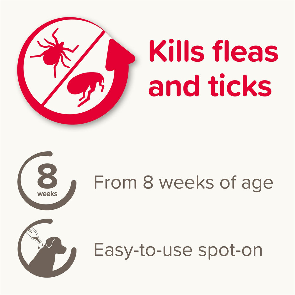 Beaphar FIPROtec Flea & Tick Spot-On Treatment for Extra Large Dogs (40-60kg), 1, 4