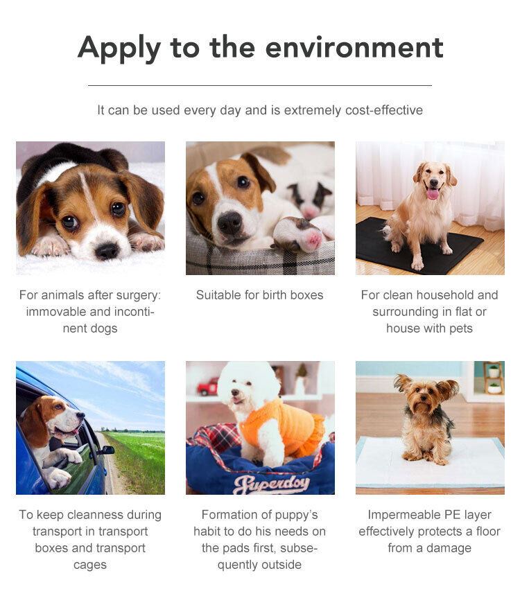 Large Puppy Training Trainer Train Pads Toilet Pee Wee Poo Dog Pet Cat Mats UK