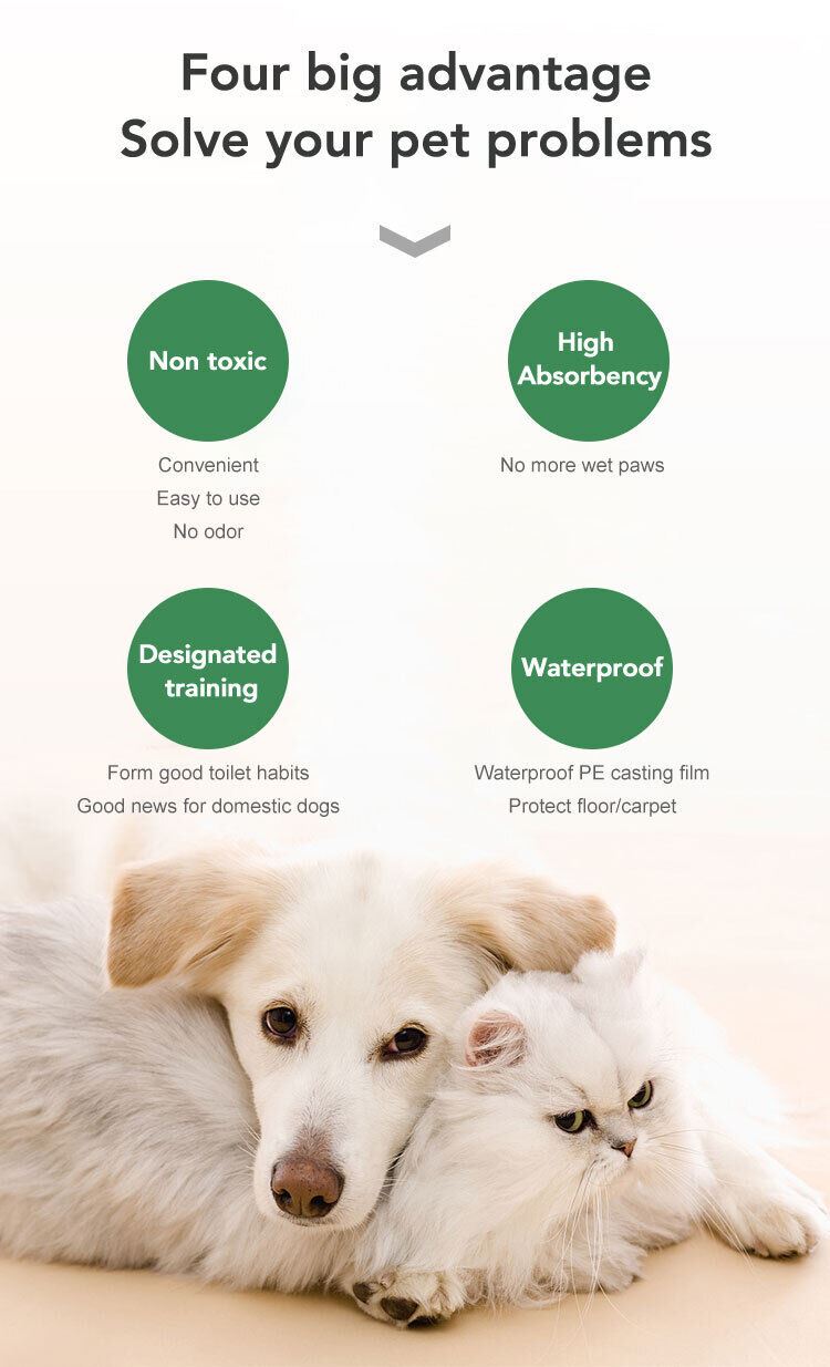 Large Puppy Training Trainer Train Pads Toilet Pee Wee Poo Dog Pet Cat Mats UK