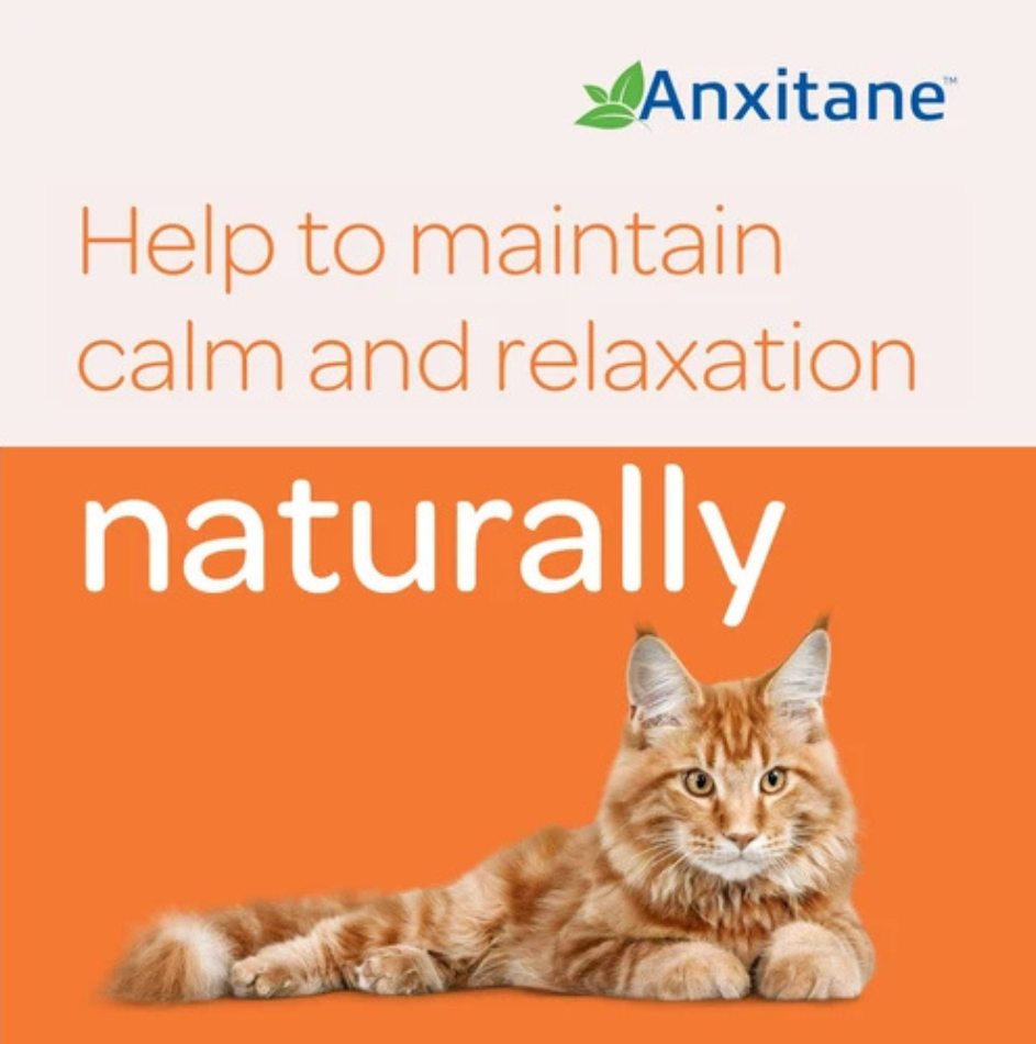 Anxitane Dog Calming Anxiety Stress Relief 30 Chewable Tablets For Dogs, Cats -