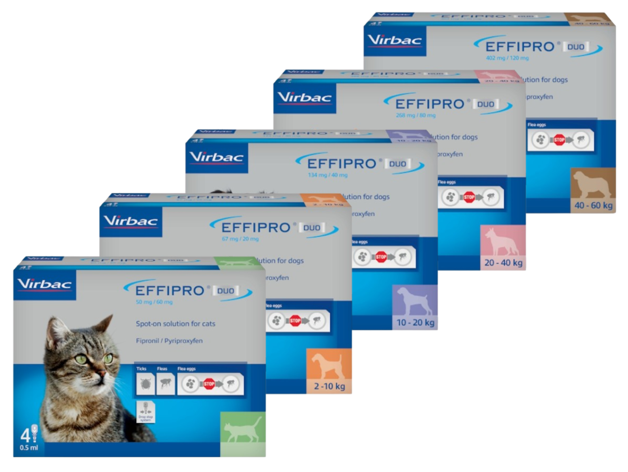 Effipro Duo Spot on Solutions For Cat S M L XL Dog 4 Pipettes per Pack