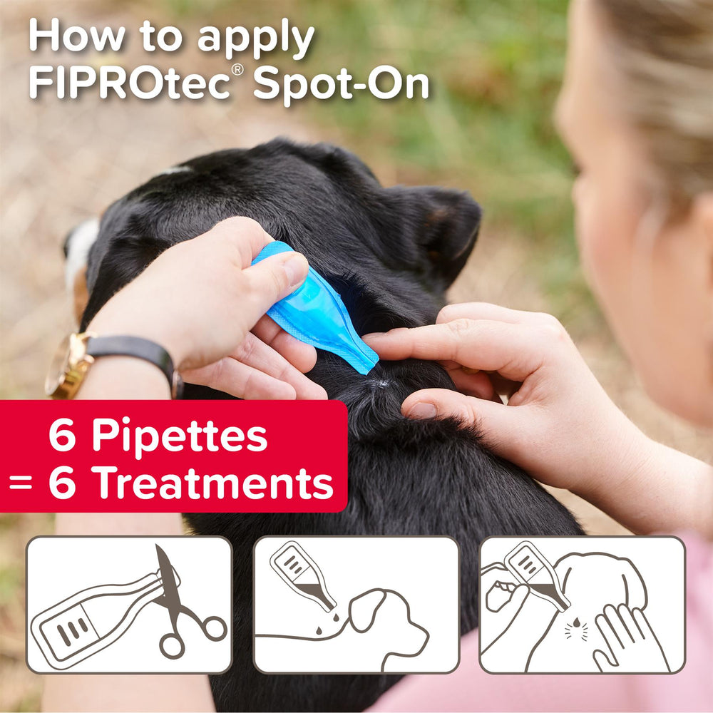 Beaphar FIPROtec Flea & Tick Spot-On Treatment for Small Dogs (2-10kg), 1, 4, 6