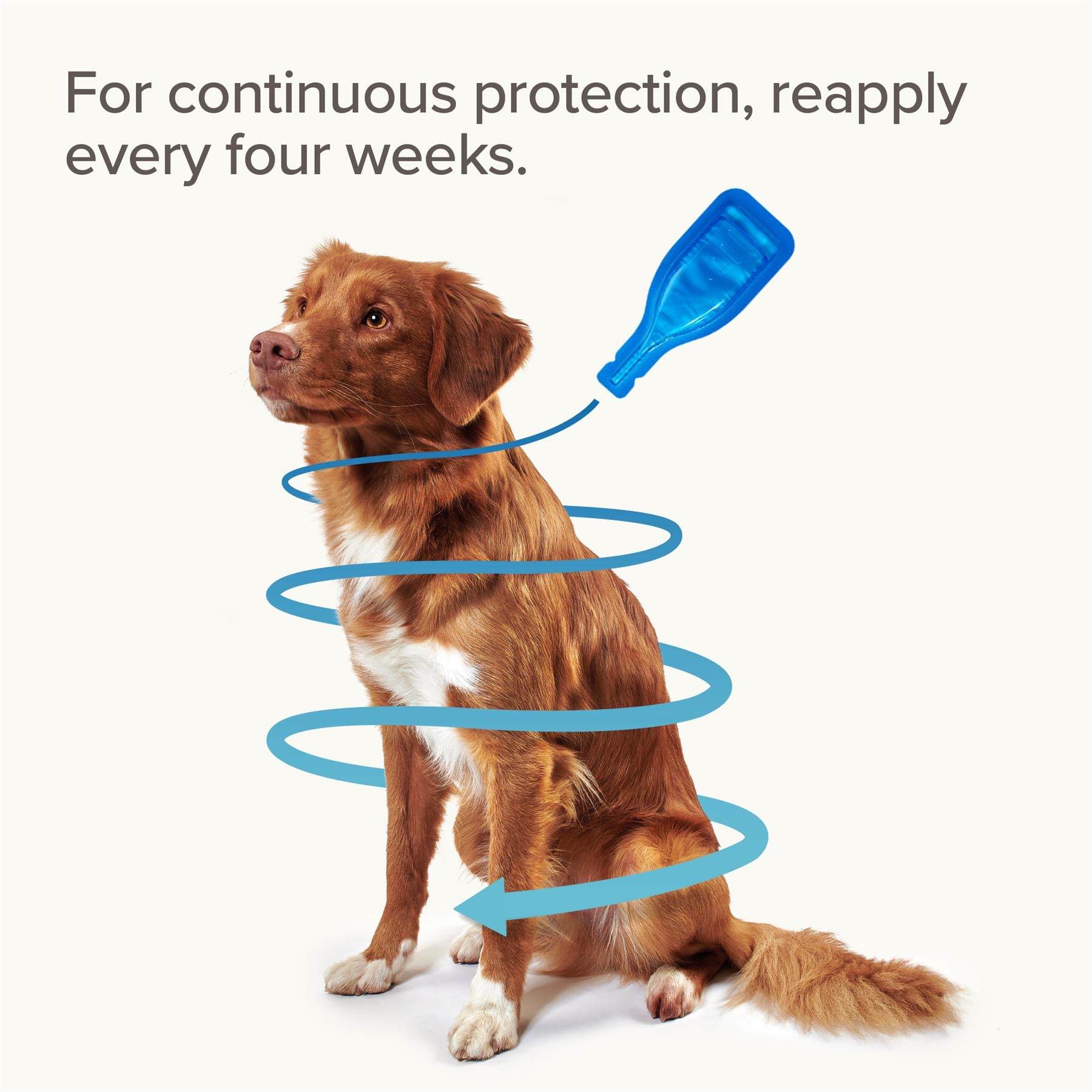 Beaphar FIPROtec Flea & Tick Spot-On Treatment for Extra Large Dogs (40-60kg), 1, 4