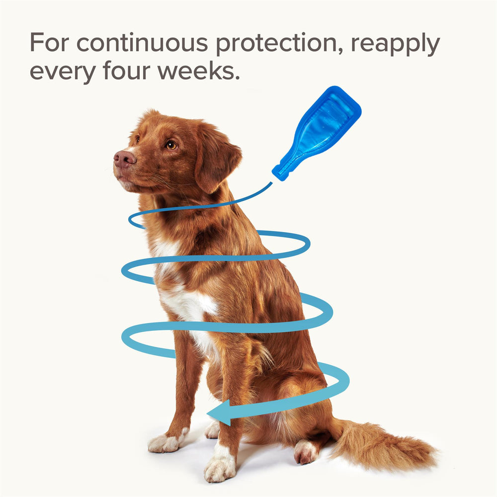 Beaphar FIPROtec Flea & Tick Spot-On Treatment for Extra Large Dogs (40-60kg), 1, 4