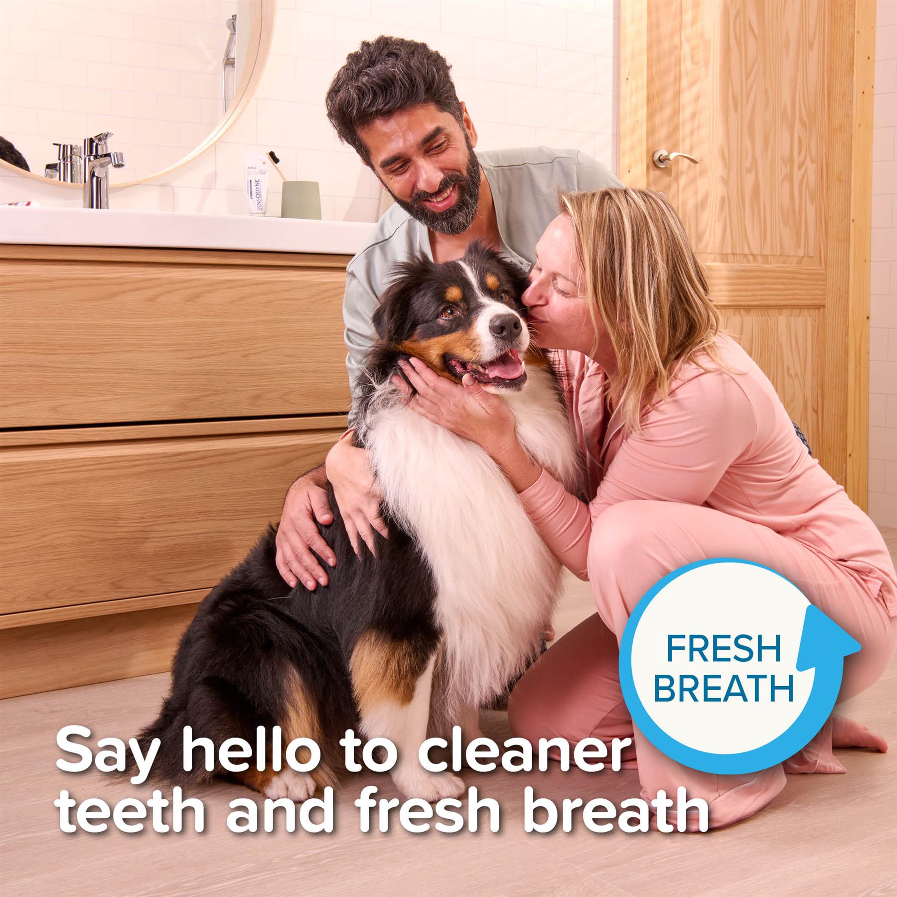 Beaphar Toothpaste Toothbrush Pet Dental Care Kits For Dogs & Cats UK