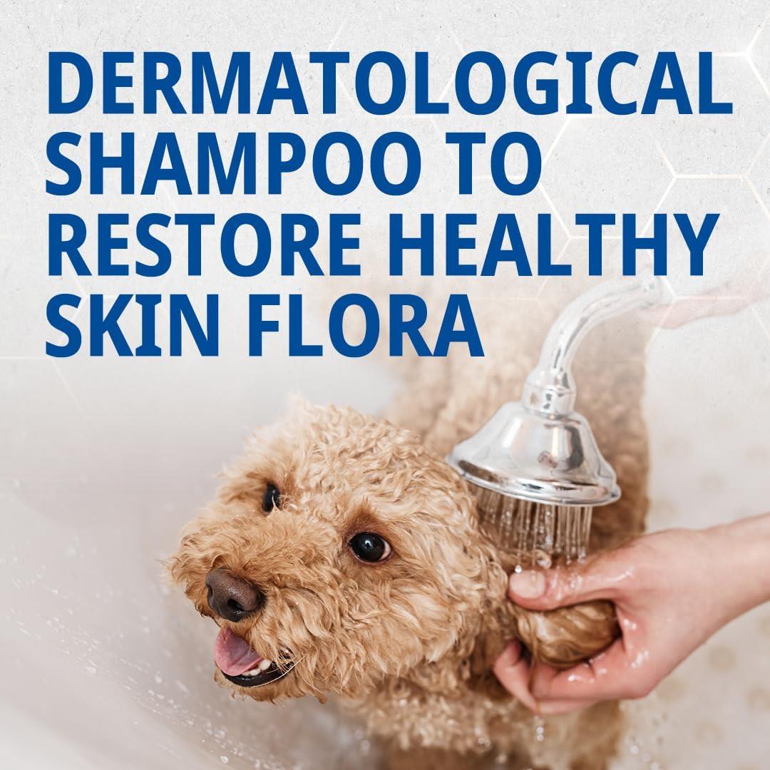 Pyoderm Dermatological Shampoo 250ML for Skin with Microbial Imbalance for Dogs and