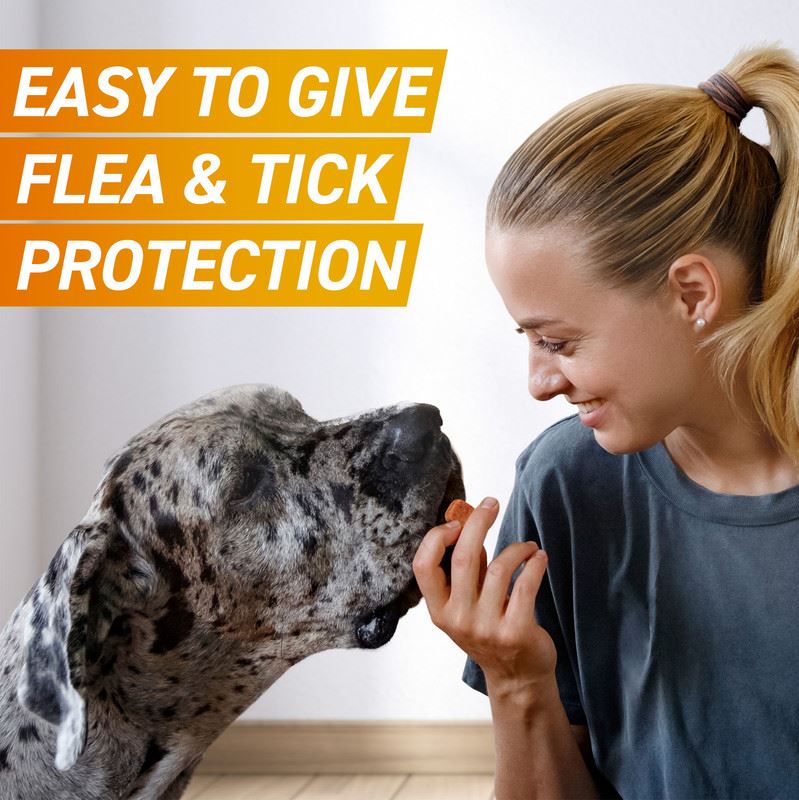 FRONTPRO Flea and Tick Chewable Tablets for Dogs Fast-Acting For S/M/L/XL Dogs 3 Pack