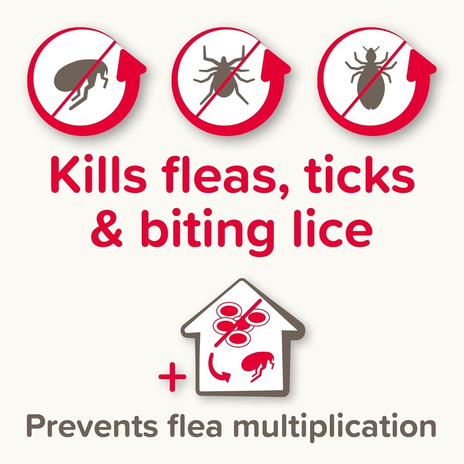 Beaphar FIPROtec COMBO Dog/Cat Flea and Tick Treatment Spot On Solution Effectiv