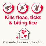 Beaphar FIPROtec COMBO Flea & Tick Spot-On Treatment for Cats, 1, 3, 6 Pipettes