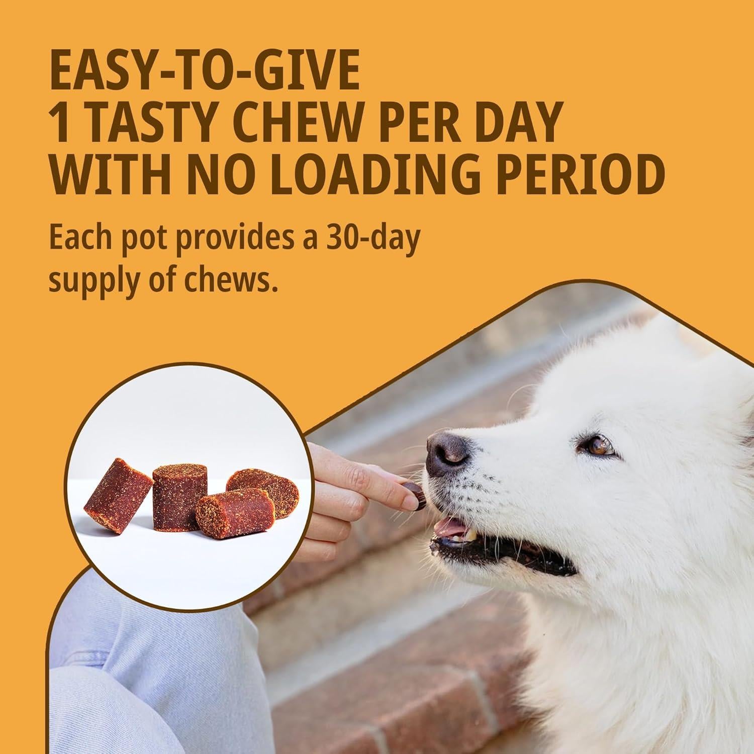 Virbac Movoflex Supplement for Medium Dogs 15-35kg Support Joints & Mobility x30