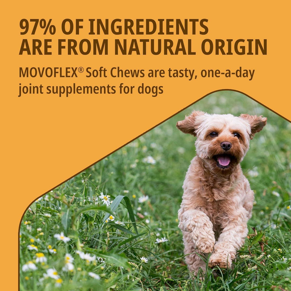 Virbac Movoflex Dog Joint Supplement Soft Chews For Flexibility & Mobility x 30