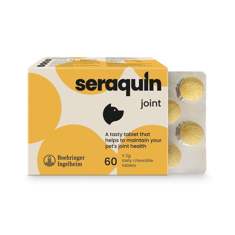 Seraquin Joint Support Supplement & Digest For Cats & Dogs Skin & Coat Pump