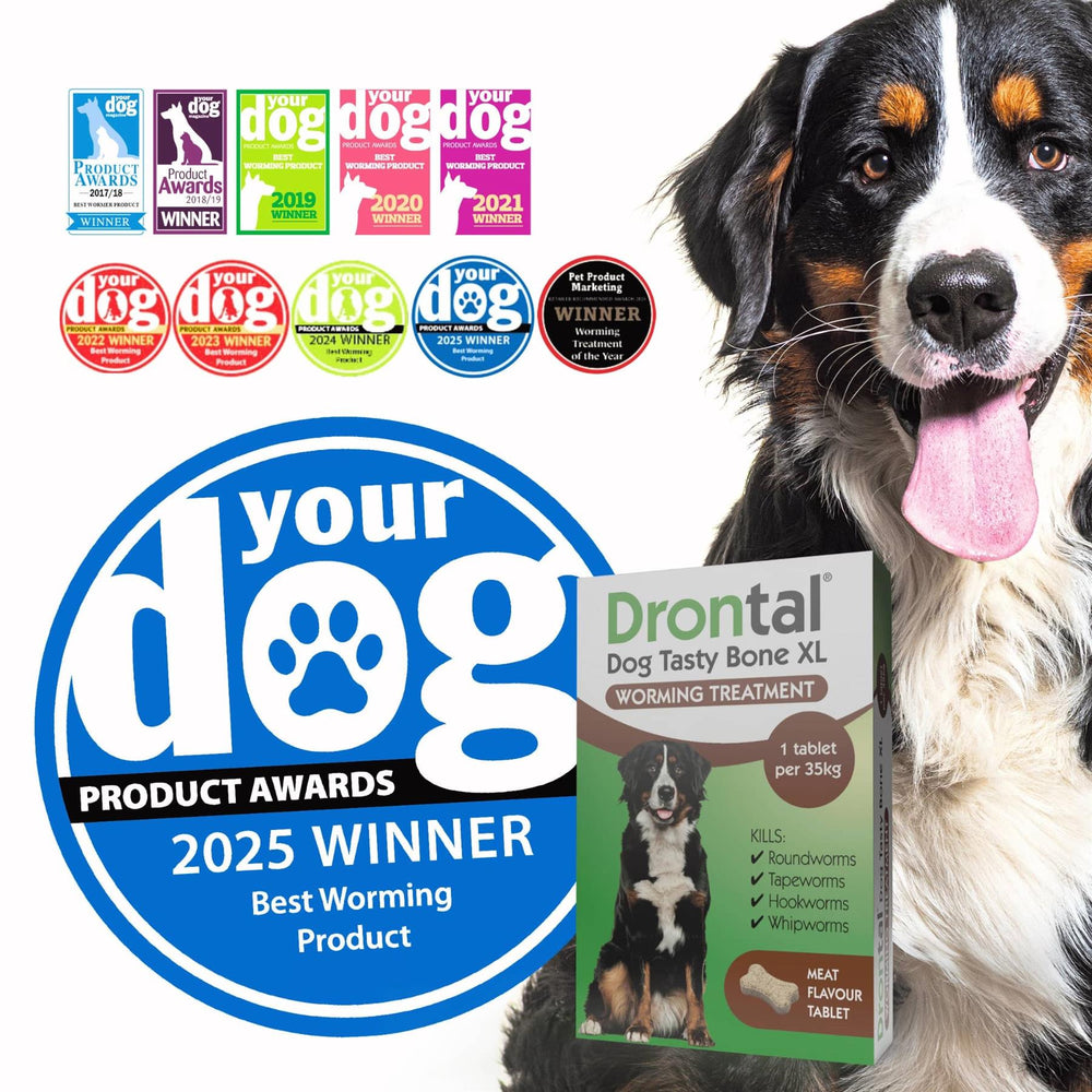 Drontal Tasty Bone XL Wormer Tablets for Large Dogs (Over 20kg)