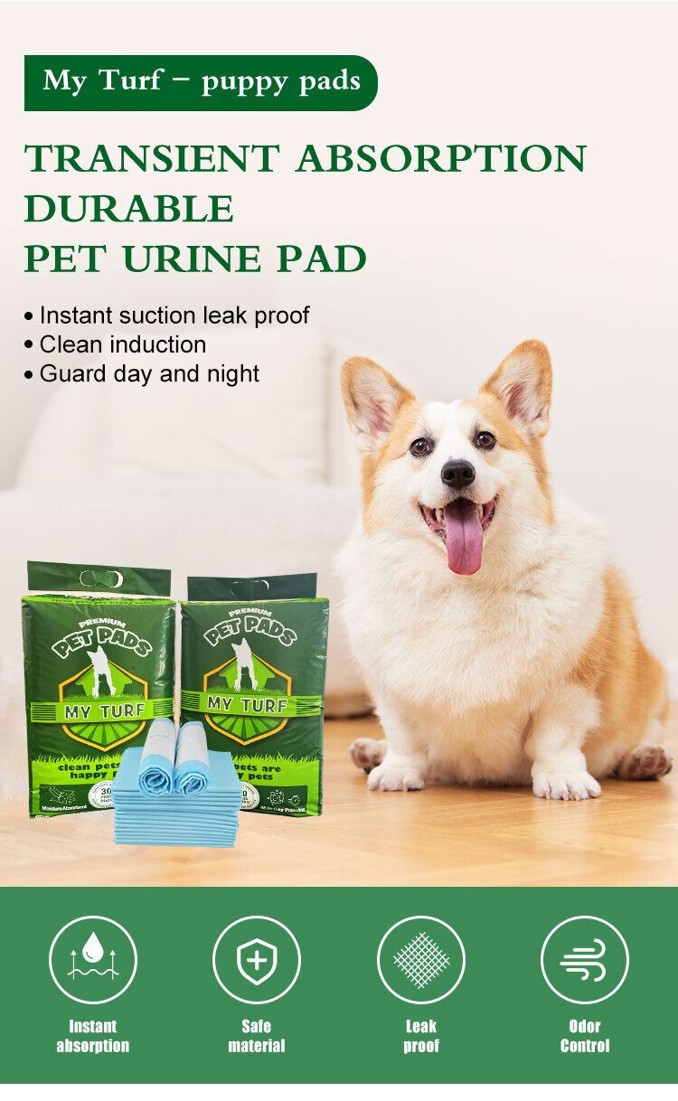 Large Puppy Training Trainer Train Pads Toilet Pee Wee Poo Dog Pet Cat Mats UK