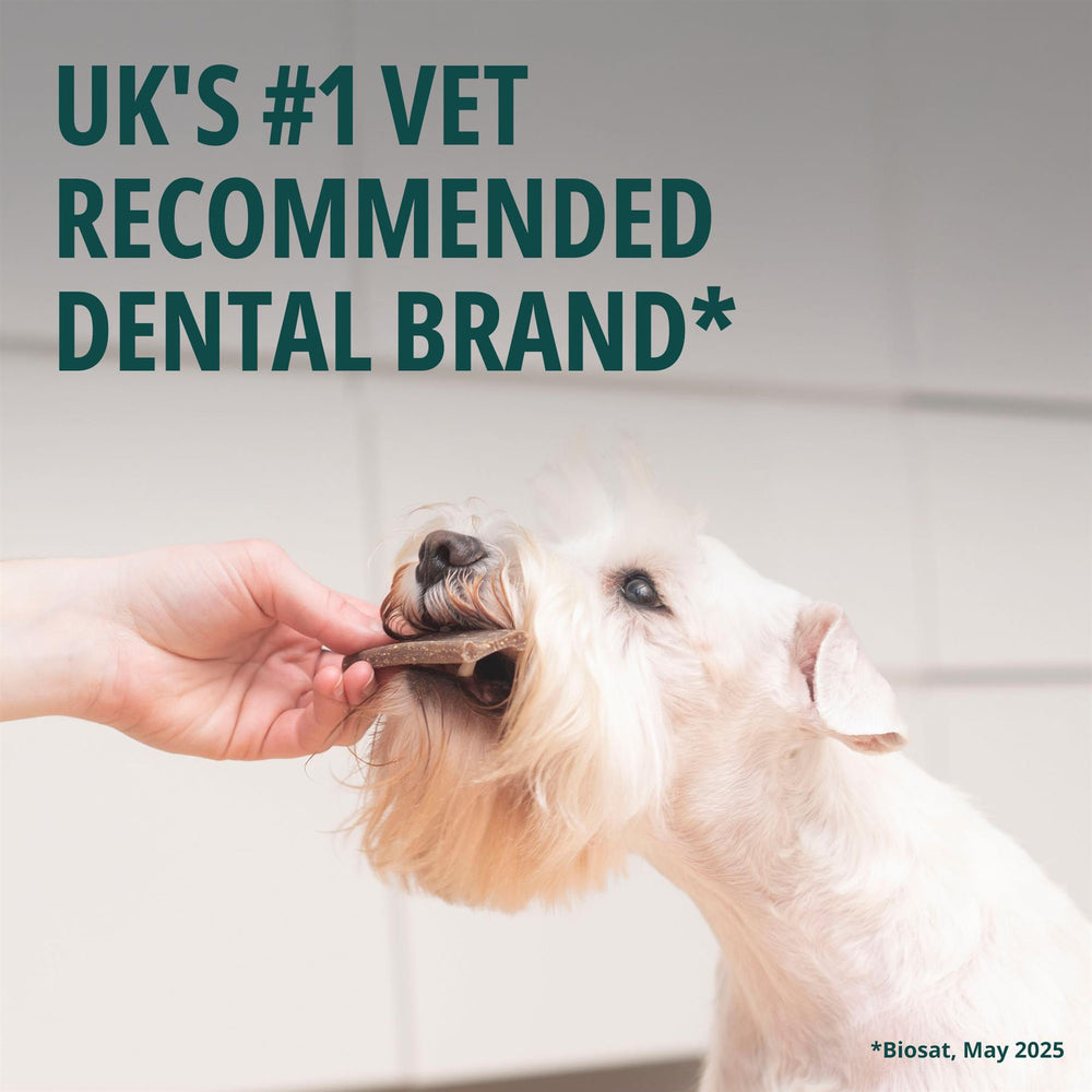 Virbac Veggiedent FR3SH Dental Chews for Dog Helps Clean Teeth & Freshen Breath, 15