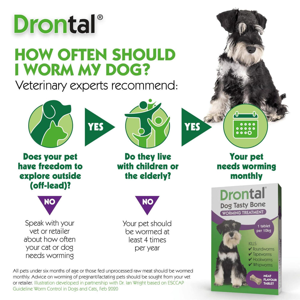 Drontal Plus for Small and Medium Dogs Bone Shaped Worming Tablet Packs
