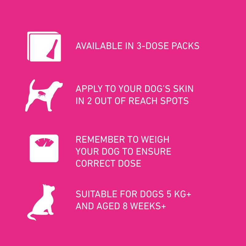 Frontline Tri-Act Spot On Flea and Tick Treatment For Small Medium and Large Dogs 3