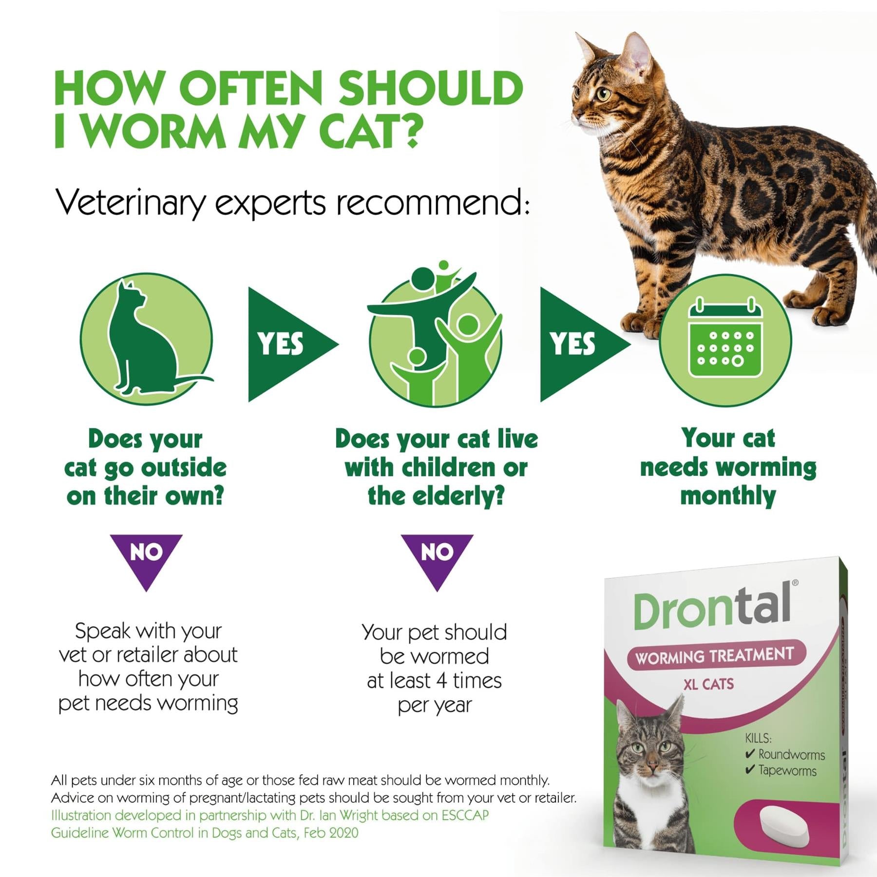 Drontal Wormer XL Tablets for Large Cats (Over 4kg)