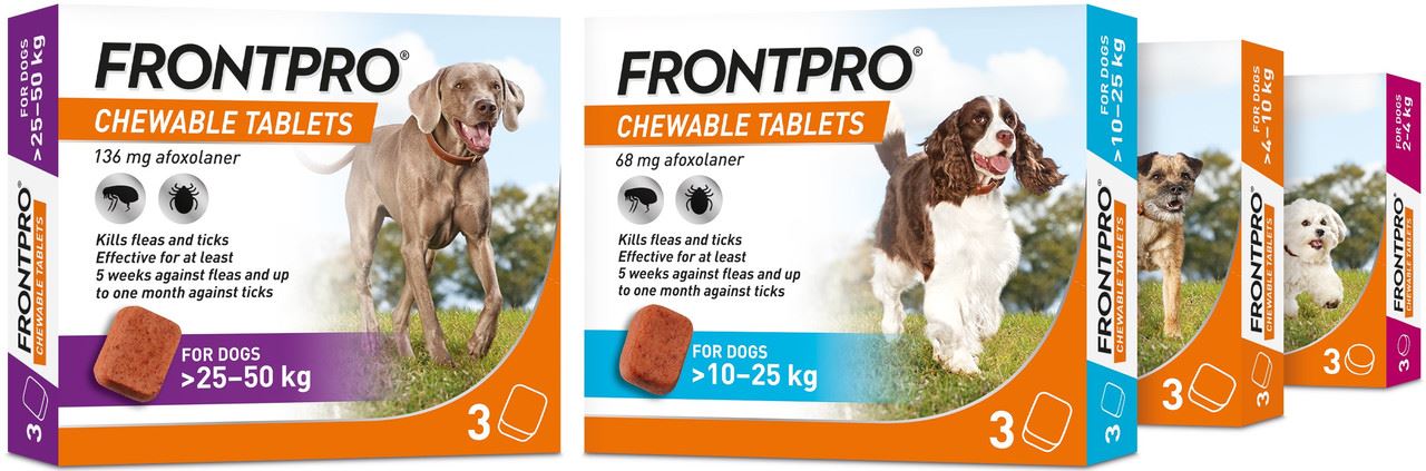 FRONTPRO Flea and Tick Chewable Tablets for Dogs Fast-Acting For S/M/L/XL Dogs 3 Pack