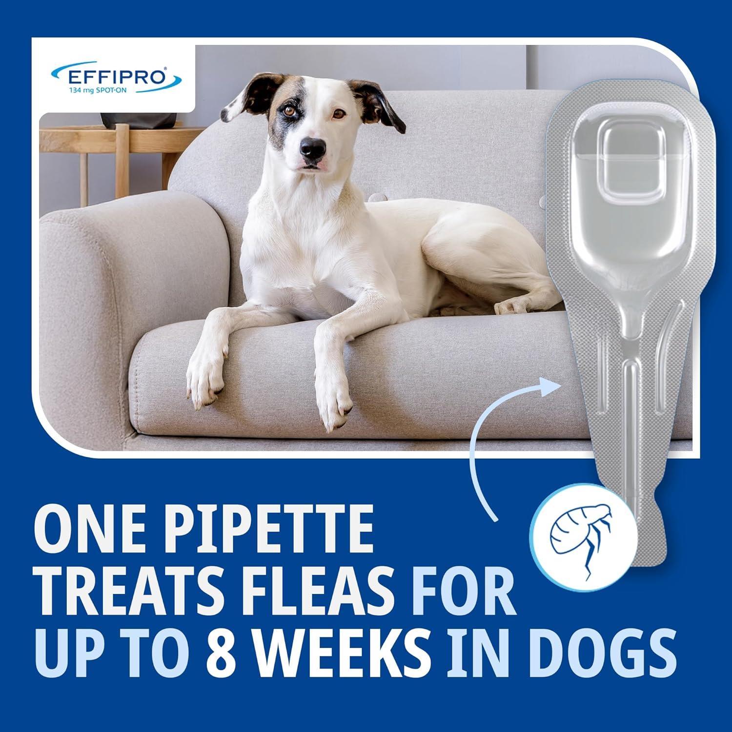 Effipro Spot On Flea Treatment AVM-GSL For Pets Cats & Dogs 4 Pipettes With Fipronil
