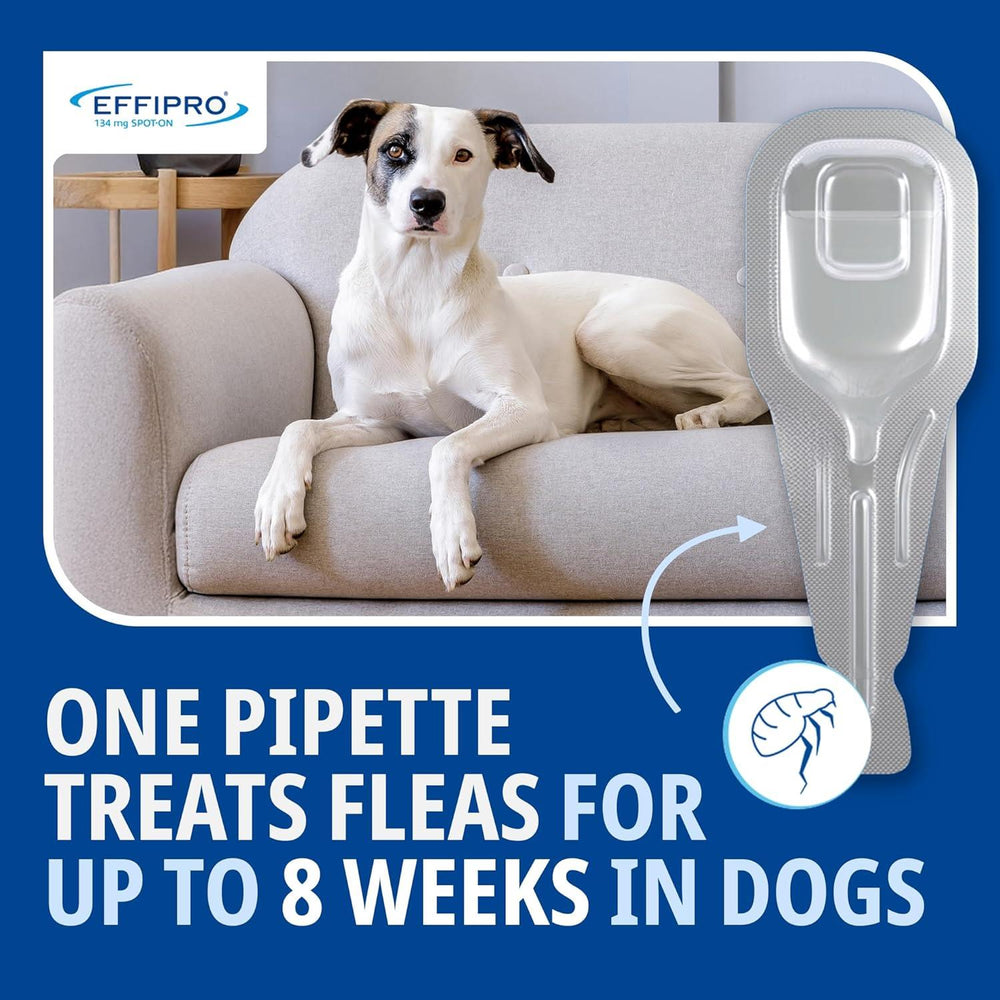 Effipro Spot On Flea Treatment AVM-GSL For Pets Cats & Dogs 4 Pipettes With Fipronil