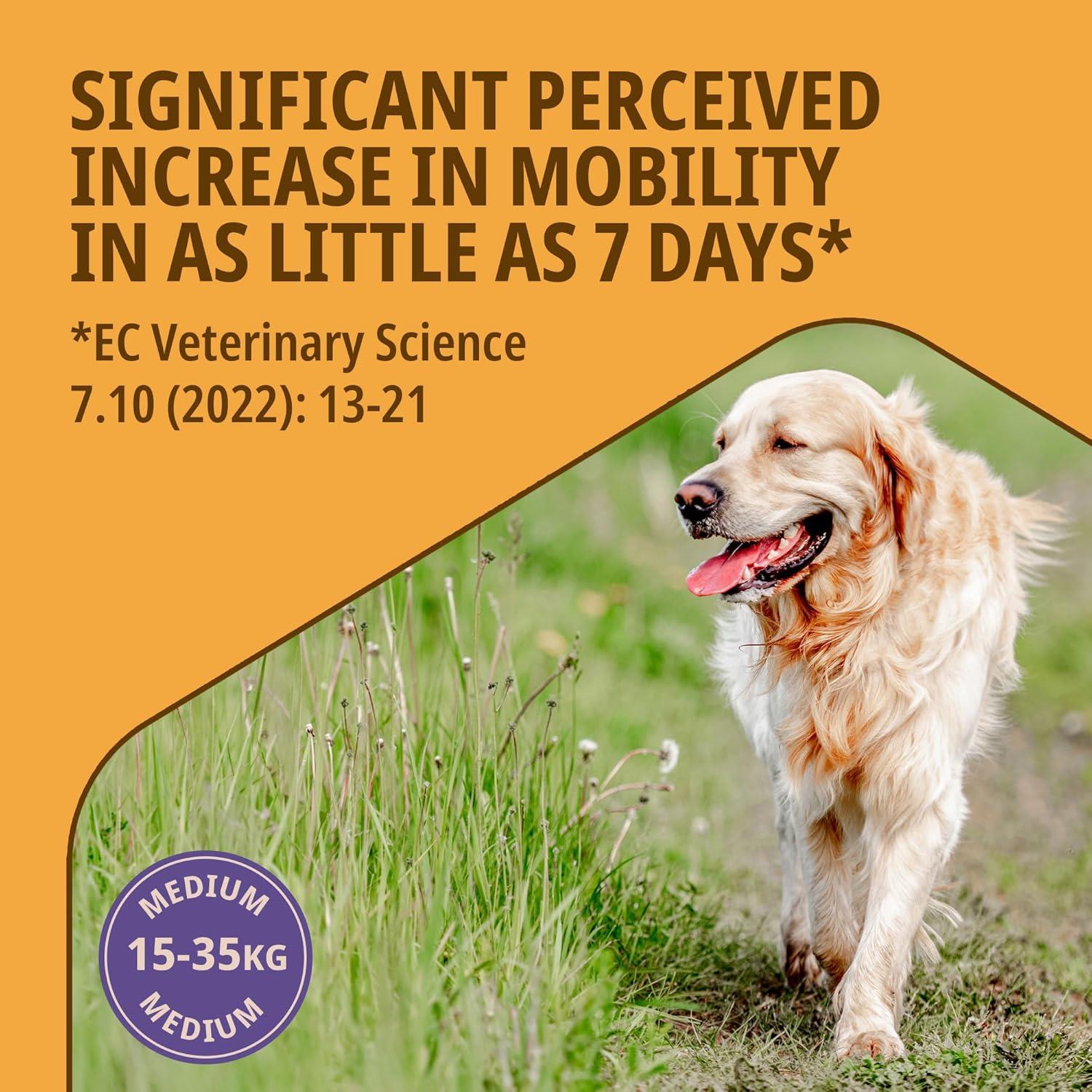 Virbac Movoflex Supplement for Medium Dogs 15-35kg Support Joints & Mobility x30