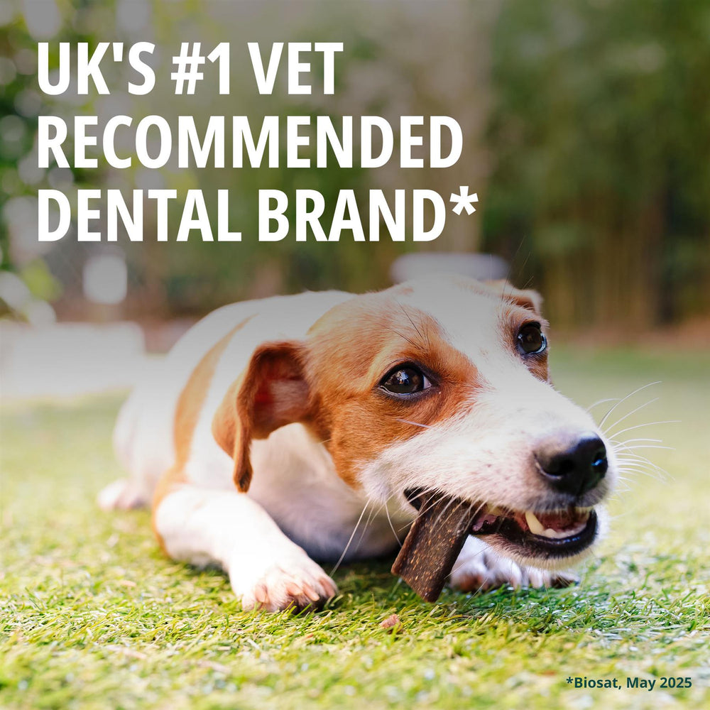 Virbac Veggiedent FR3SH Dental Chews for Dog Helps Clean Teeth & Freshen Breath, 15
