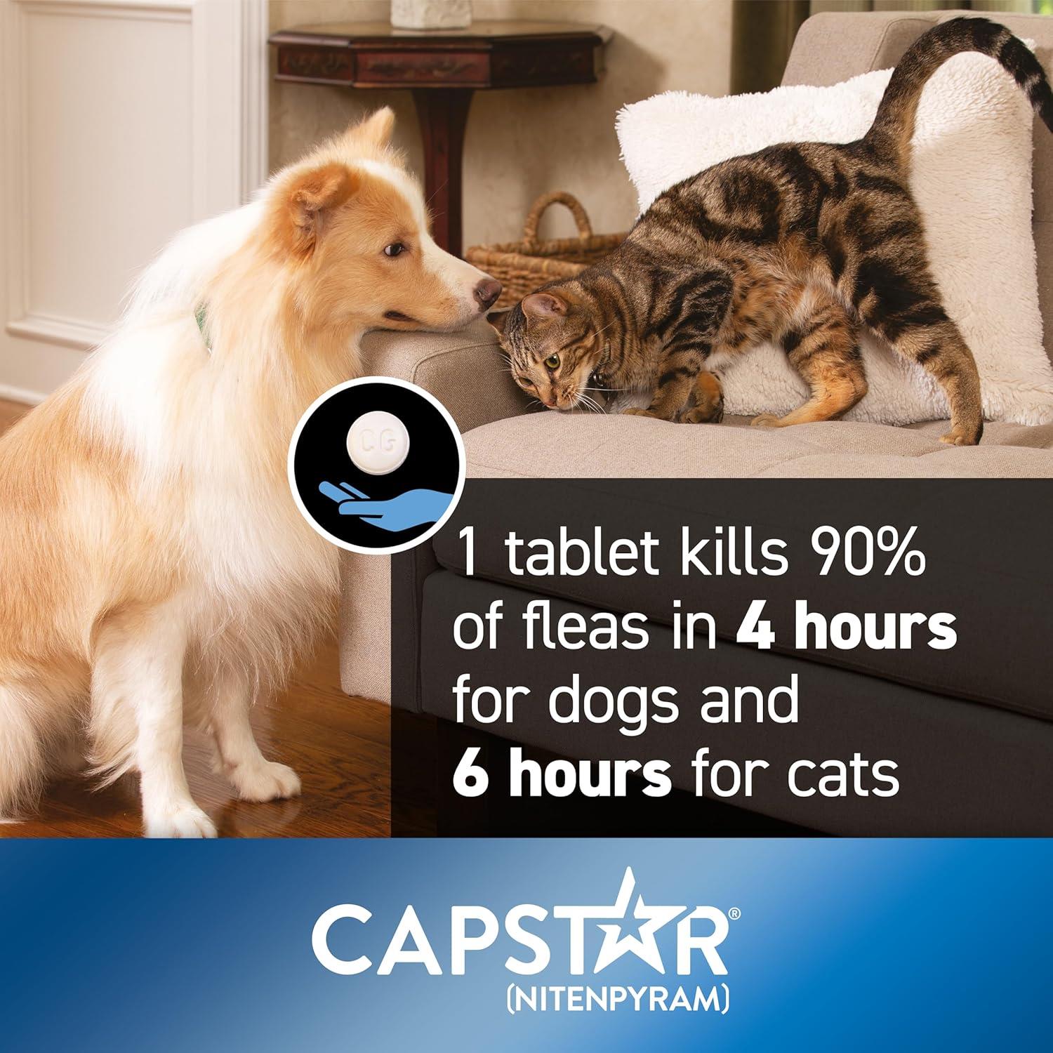 Capstar Flea Treatment Tablets for Dogs over 11kg Kills Fleas Fast 6 Tablets