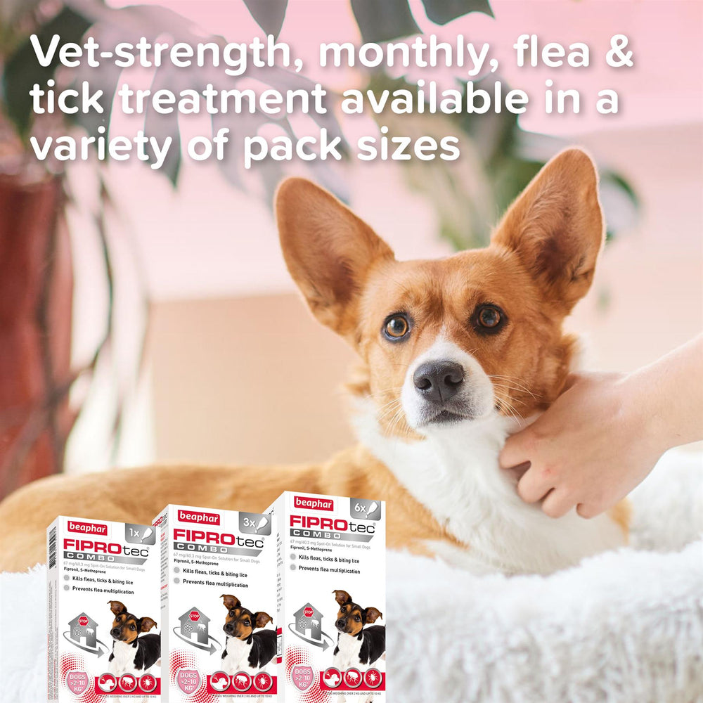 Beaphar FIPROtec COMBO Flea & Tick Spot-On for Small Dogs