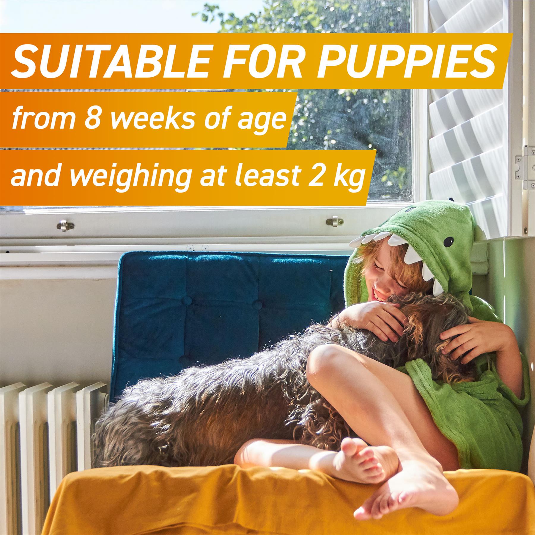 FRONTPRO Flea and Tick Chewable Tablets for Dogs