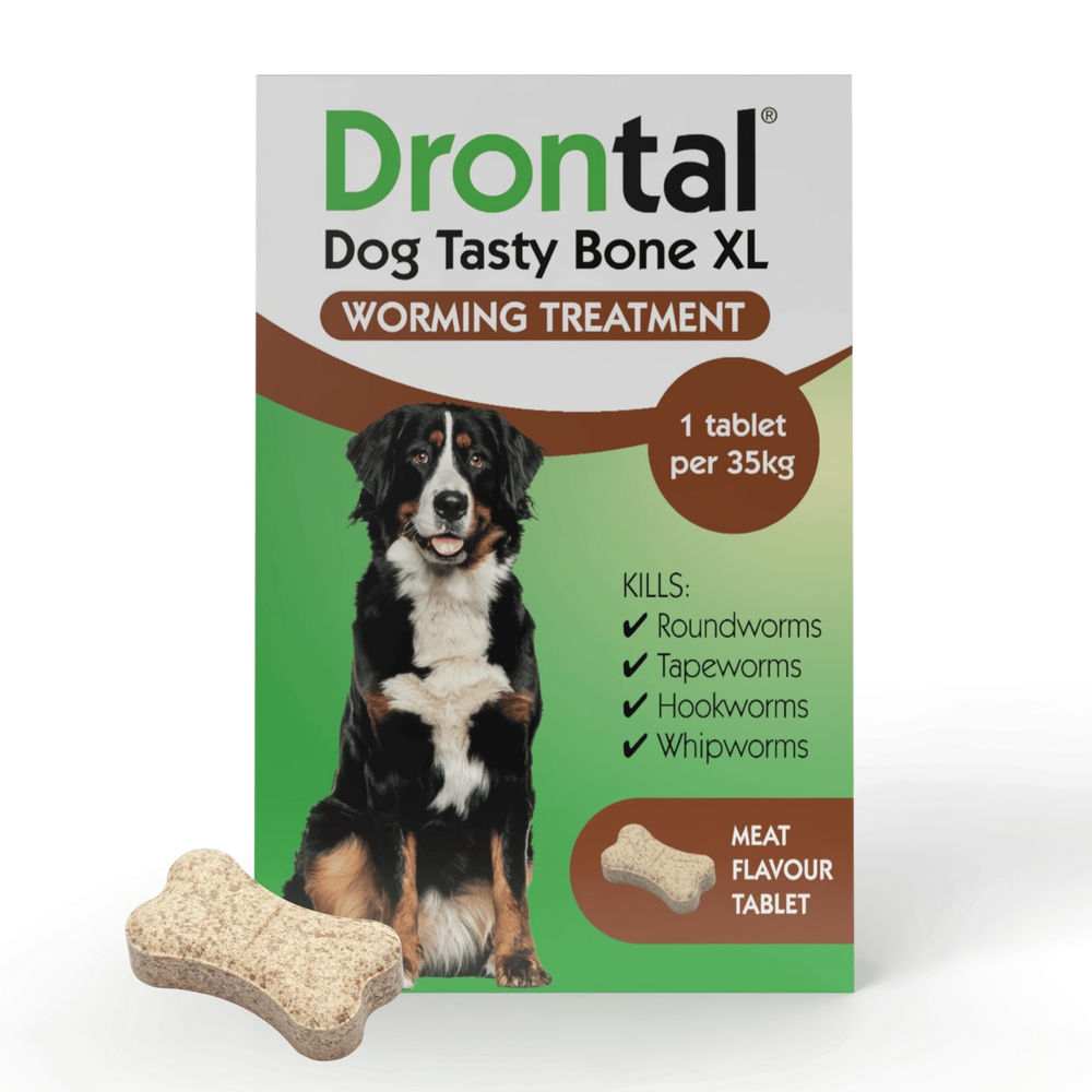 Drontal Tasty Bone XL Wormer Tablets for Large Dogs (Over 20kg)