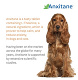 Anxitane Dog Calming Anxiety Stress Relief 30 Chewable Tablets For Dogs, Cats -