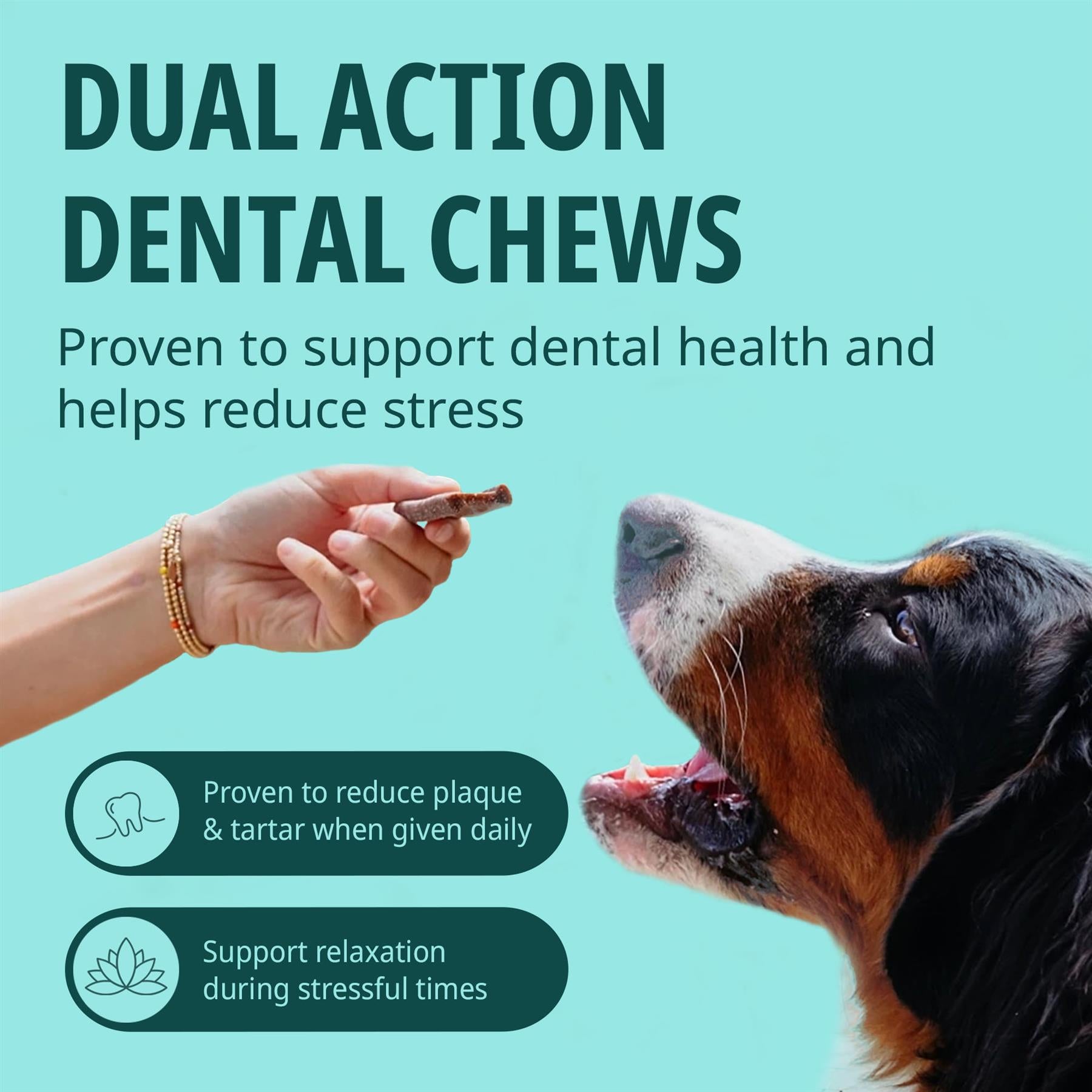 Virbac Veggiedent Zen 15 Dental Oral Care Dog Chews + Calming Anxiety Relief XS S M L