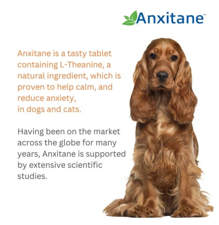 Anxitane Dog Calming Anxiety Stress Relief 30 Chewable Tablets For Dogs, Cats -