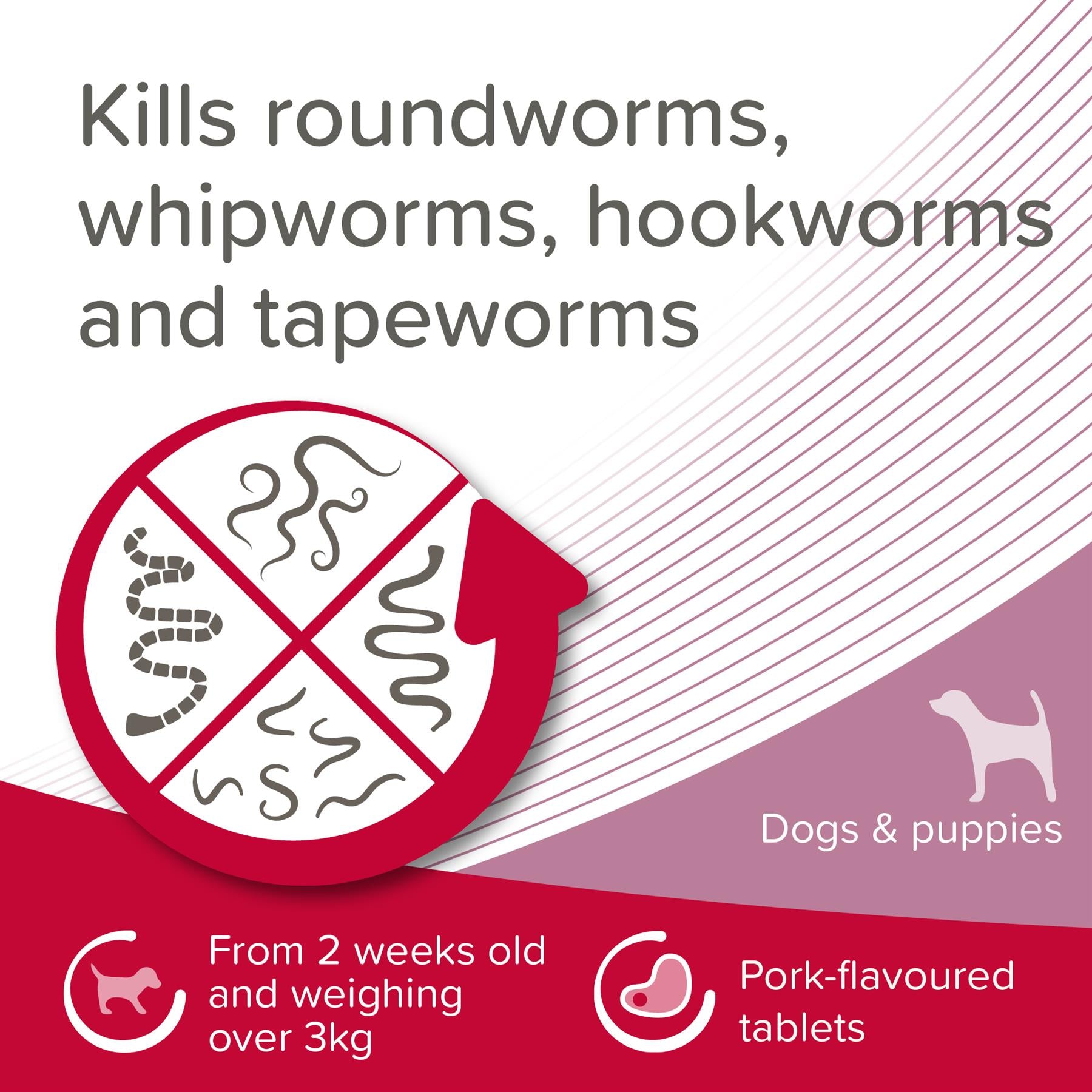 Beaphar WORMclear Worming Tablets for Cats, Kittens, Small Medium and Large Dogs