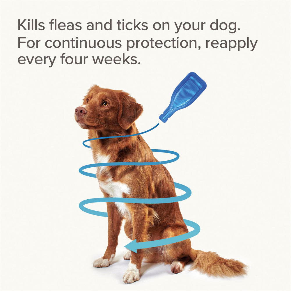 Beaphar FIPROtec Flea & Tick Spot-On Treatment for Small Dogs (2-10kg), 1, 4, 6