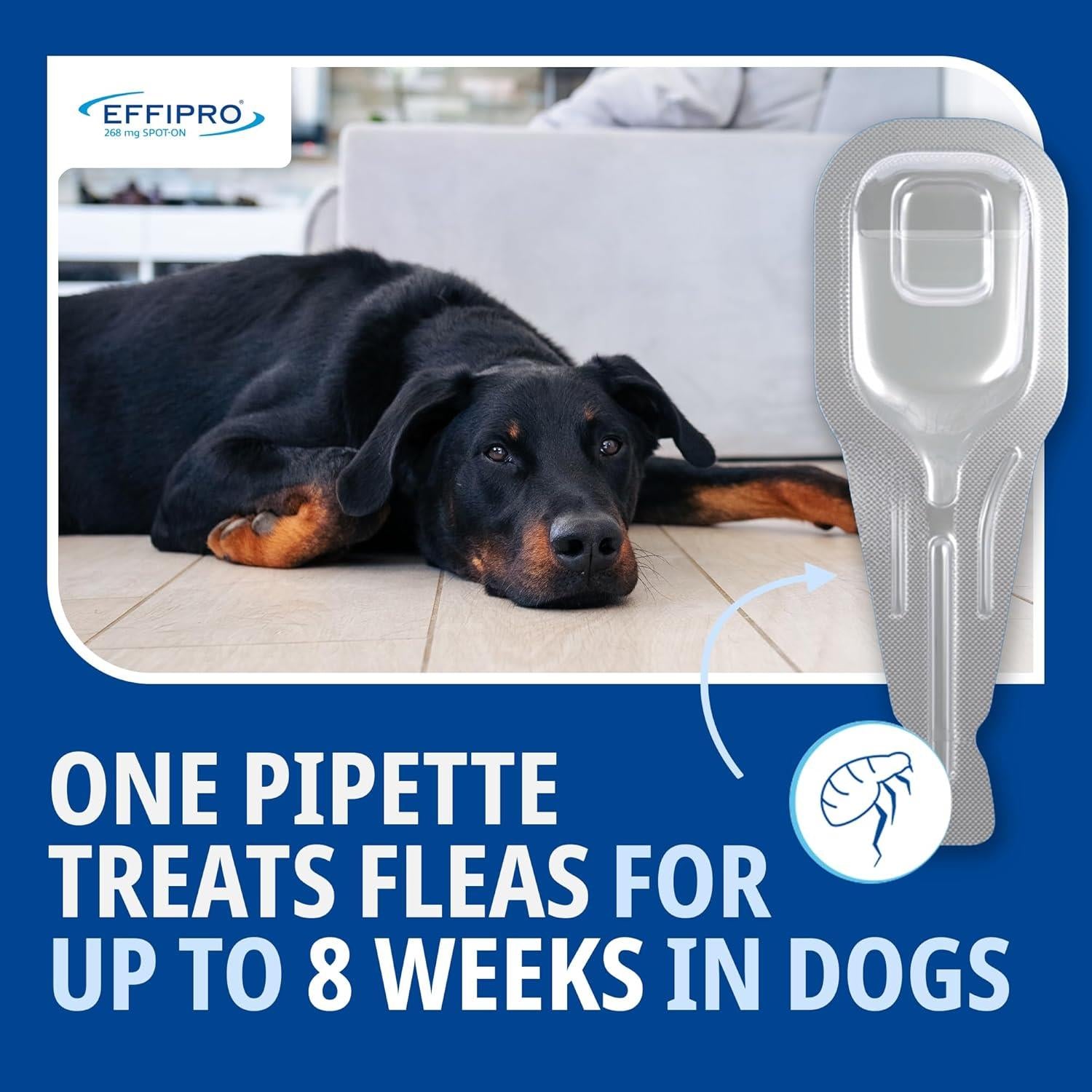 Effipro Spot On Flea Treatment AVM-GSL For Pets Cats & Dogs 4 Pipettes With Fipronil